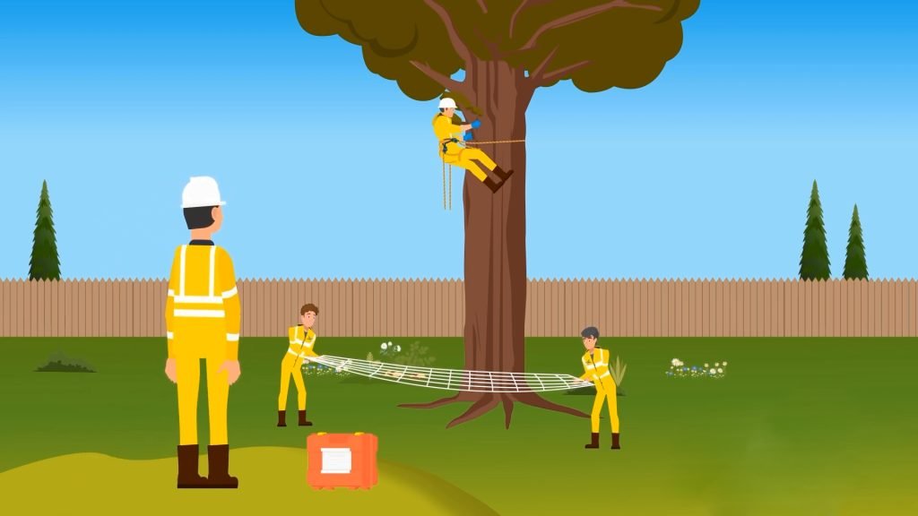 Ebsford Internal Development Animated Explainer Video Produced by Graphite Work