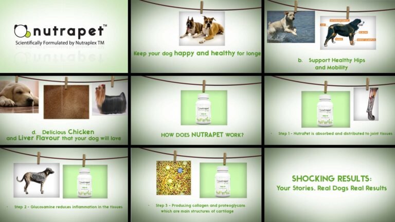 Presentation Storyboard