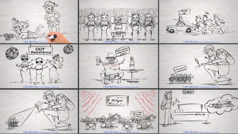 Whiteboard Storyboard Design Service